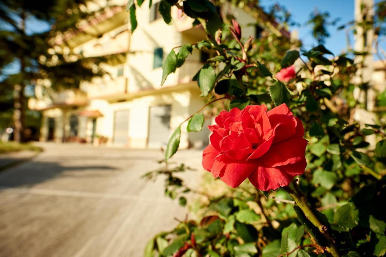 Bouganville House - Casa Vacanze Triparni ภายนอก รูปภาพ